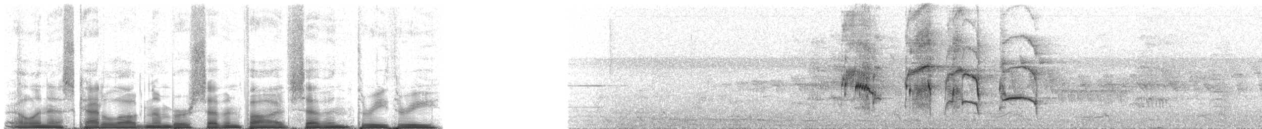 Белобрюхий лорито (xanthomerius) - ML75733