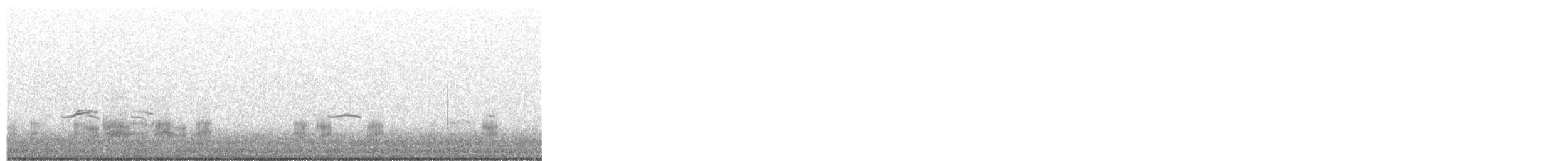 Gadwall - ML75799051