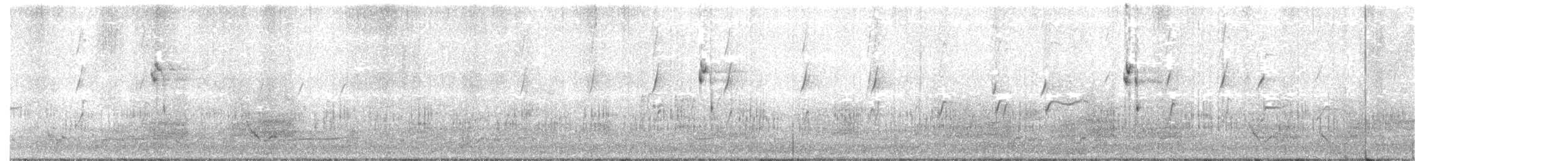 Buff-banded Rail - ML75801161