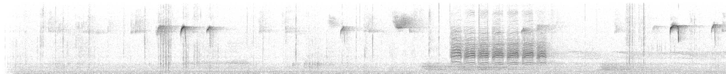 Black-capped Chickadee - ML75918581