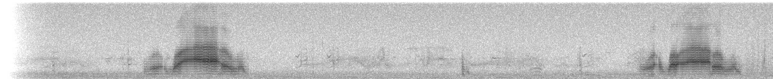 Tricolored Blackbird - ML75957161