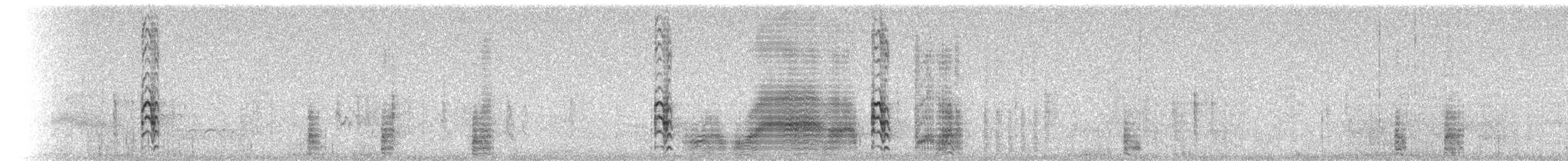 Tricolored Blackbird - ML76026401