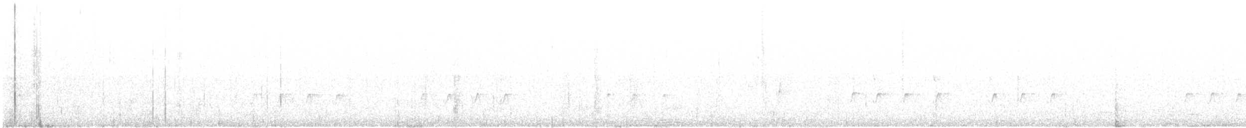 Шишкар ялиновий - ML76043761