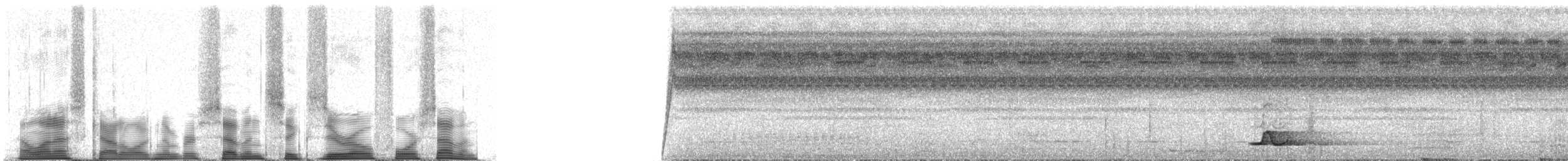 Tinamou à calotte noire - ML76047