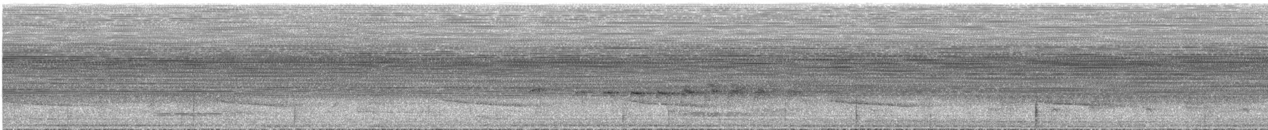 Rostflanken-Ameisenschnäpper - ML76070721