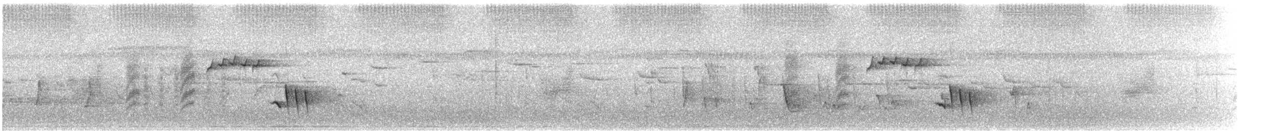 Roststirn-Dornschnabel - ML76080061