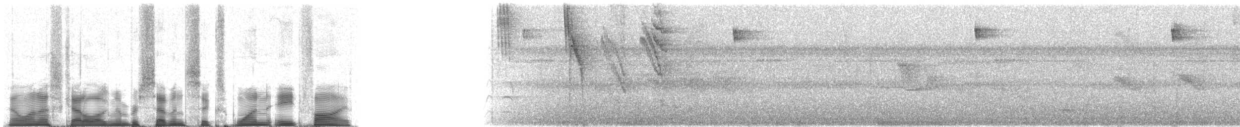 Kara Kulaklı Daknis (lineata) - ML76185