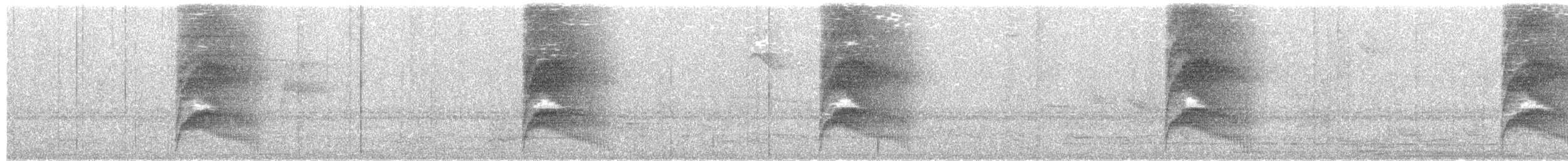 Large-tailed Antshrike - ML76219611