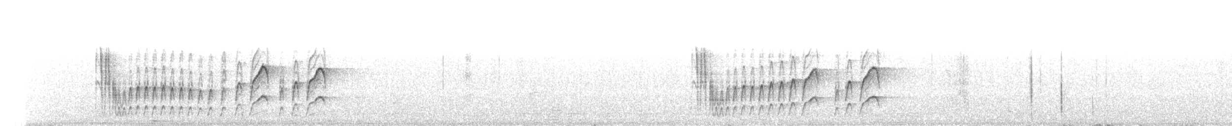 hvitskjegglattertrost - ML76228411