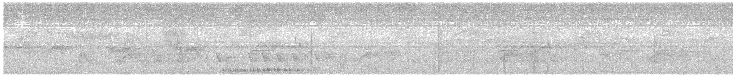 Кайеннский ибис - ML76346031