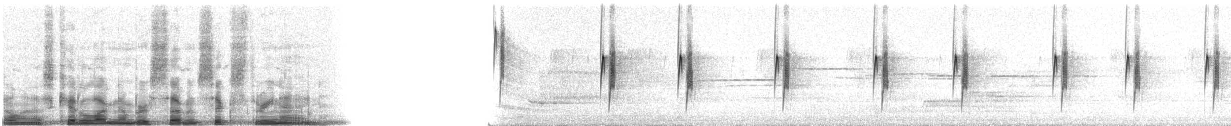 Least Flycatcher - ML7639