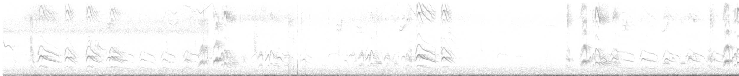 Серогрудый тиранн - ML76410511