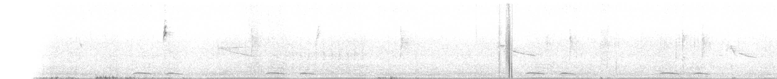 holoubek mexický - ML76521551