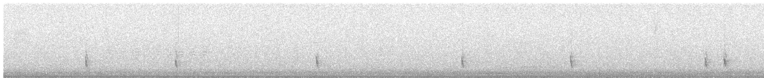 Дрізд-короткодзьоб плямистоволий - ML76543221