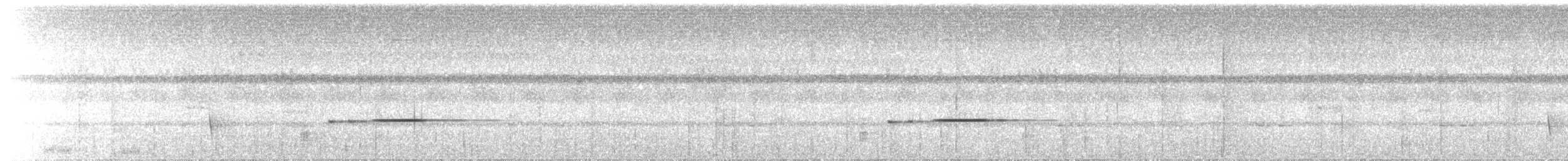 Kara Başlı İlladopsis - ML76546121