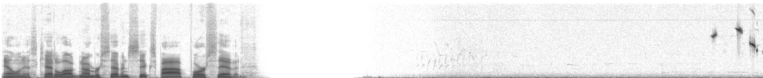 Baird's Sparrow - ML76547