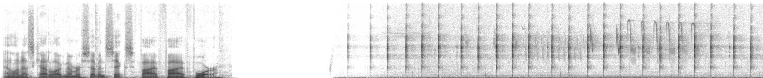 Polluela Amarillenta - ML76554