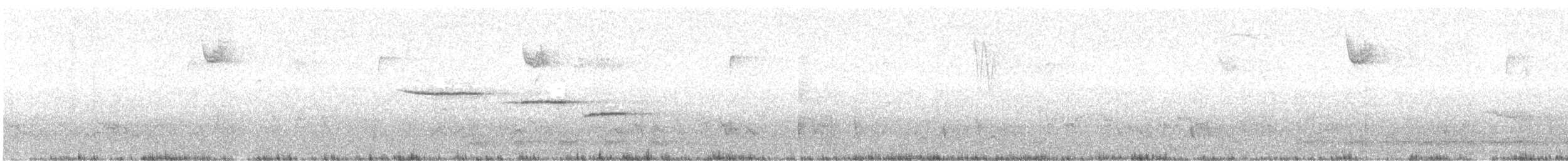 White-throated Sparrow - ML76578831