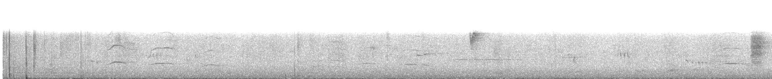 orlík chocholatý - ML76585881