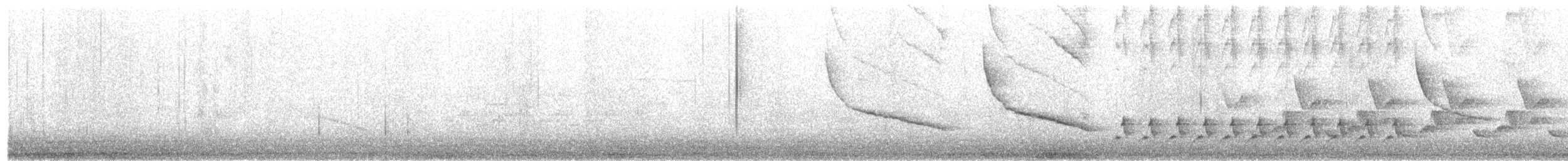 Поплітник каролінський - ML76645211