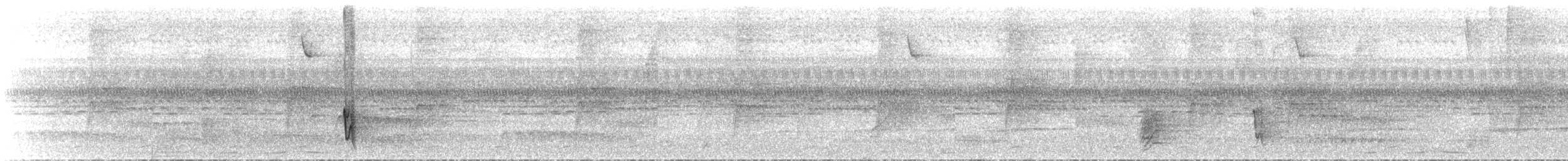 Black-billed Seed-Finch - ML76691681