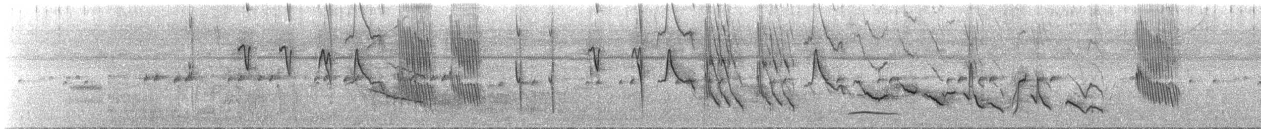 Black-billed Seed-Finch - ML76691781