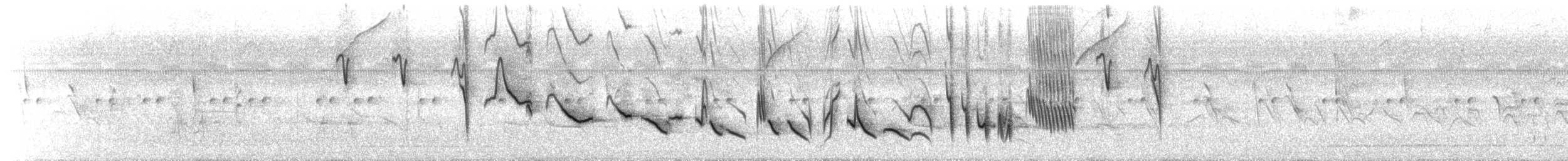 Black-billed Seed-Finch - ML76691791