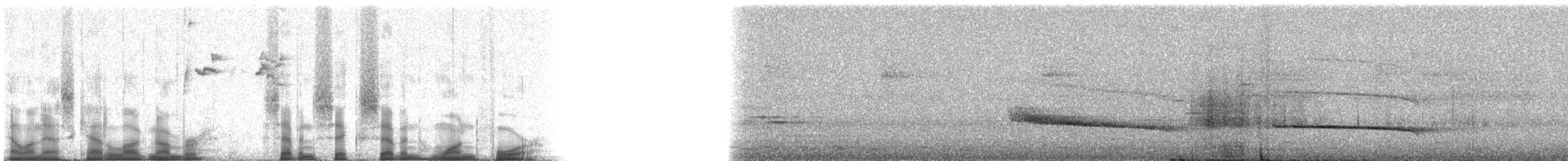 Кокоа плямистий [група aequatorialis] - ML76714