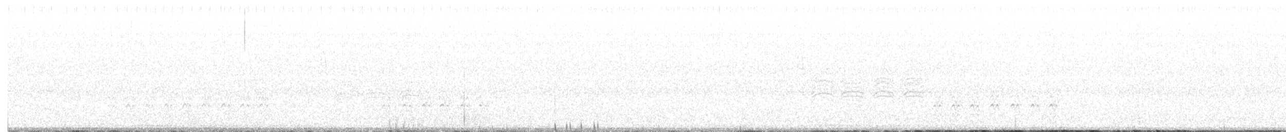 Sittelle à poitrine blanche (groupe lagunae) - ML76756151