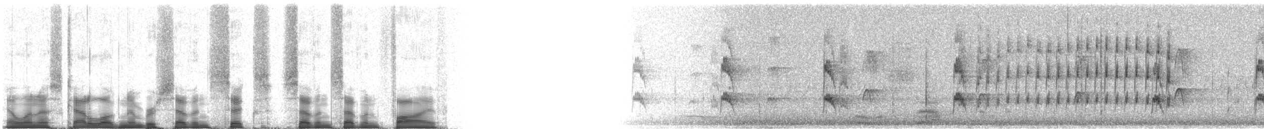 Red-cockaded Woodpecker - ML76775