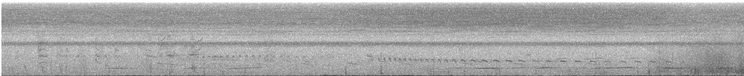 Undulated Tinamou - ML76887891