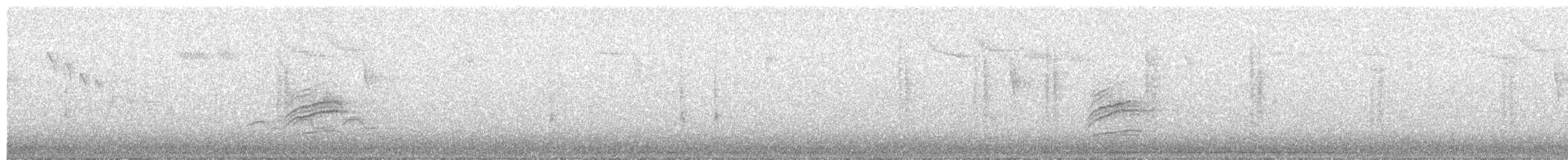 Hermit Thrush - ML76938871
