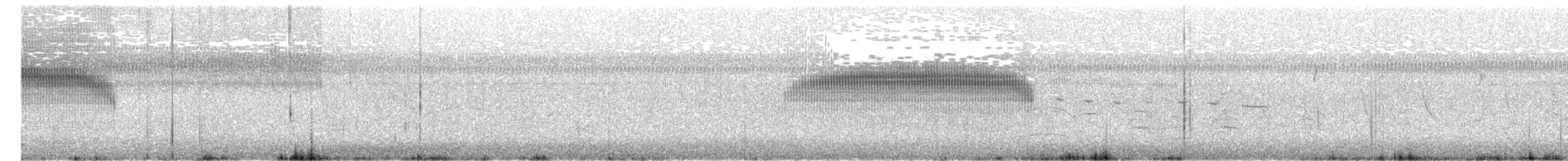 Bay-capped Wren-Spinetail - ML77026751