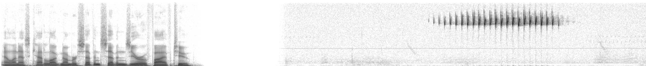 Blackpoll Warbler - ML77052