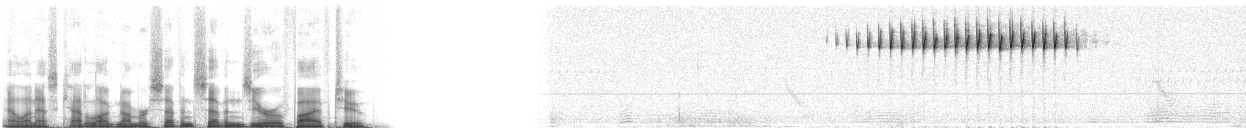 Пестрогрудая древесница - ML77052