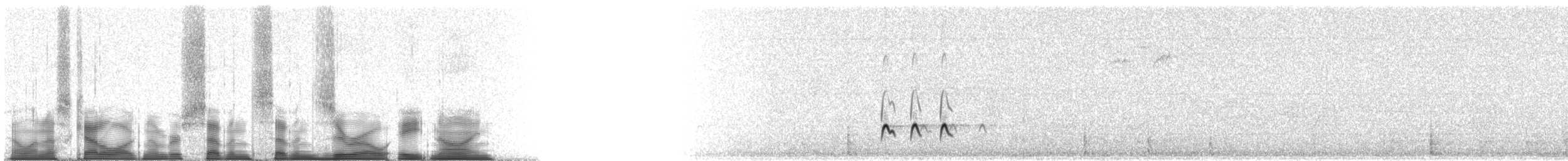 Boreal Sinekkapan - ML77089