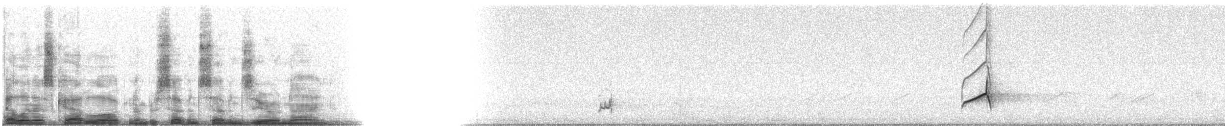 Копетон чубатий - ML7709