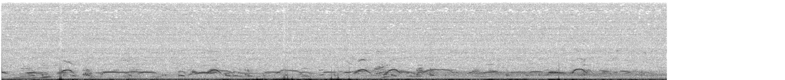 Cygne siffleur - ML77113291