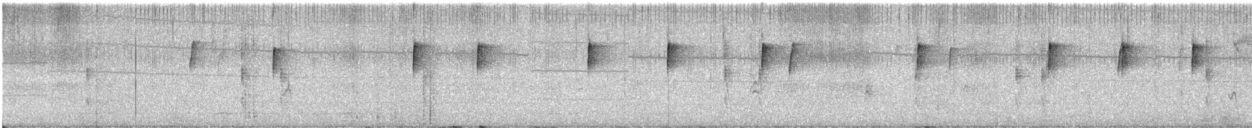 Pazifikzaunkönig - ML77194811