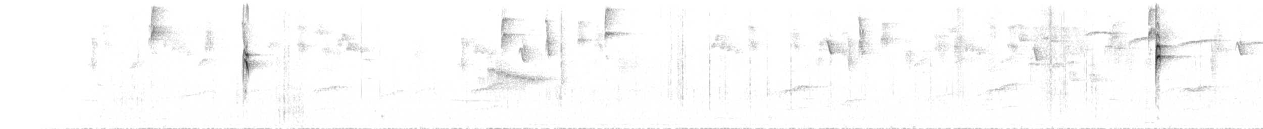 Black-billed Cnemoscopus - ML77202801