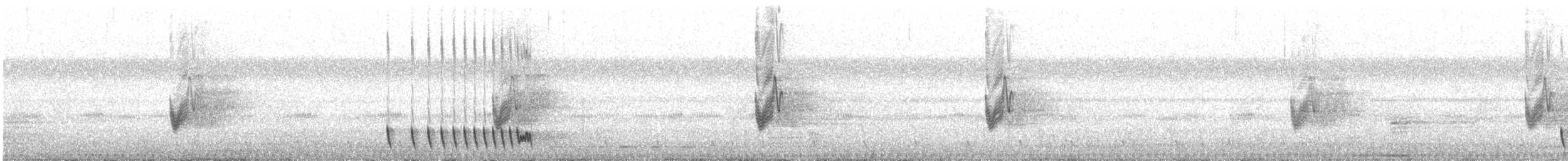 Indiennachtschwalbe - ML77293191
