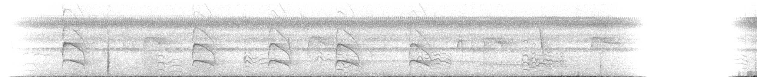 Zimmer's Woodcreeper - ML77361421