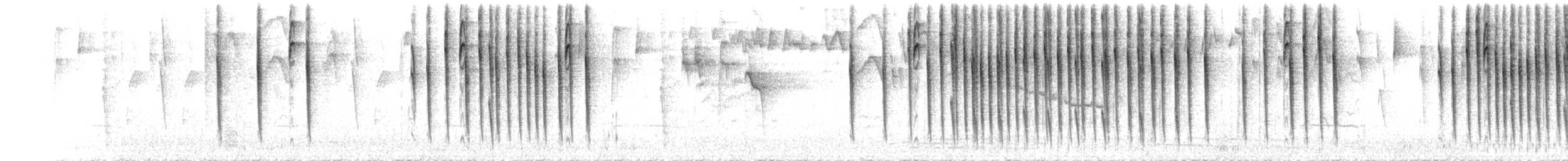 Superciliaried Hemispingus (White-bellied) - ML77391861