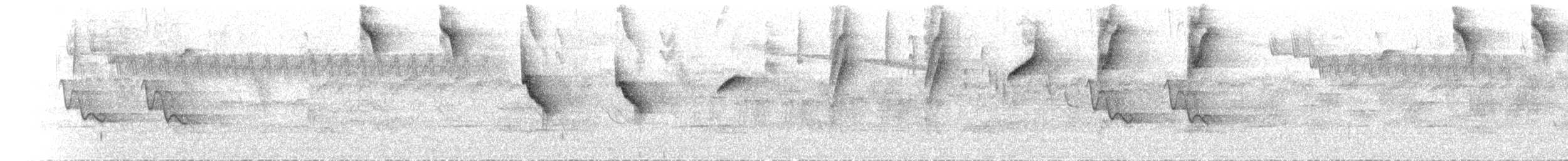 Black-capped Hemispingus (White-browed) - ML77398141