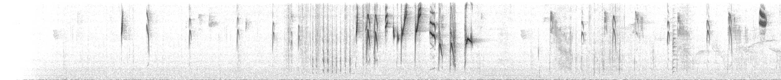 Black-capped Hemispingus (White-browed) - ML77398431