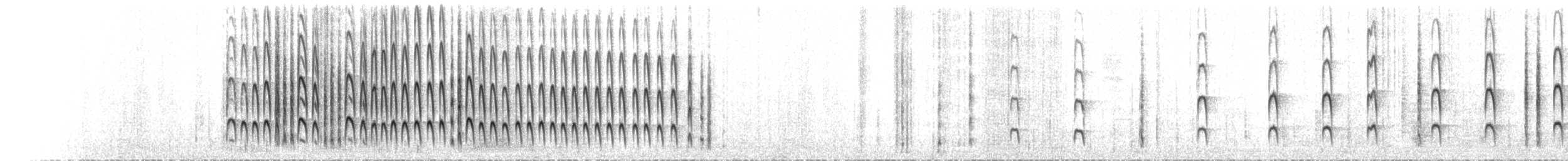 Fadenschwanzschlüpfer - ML77455301
