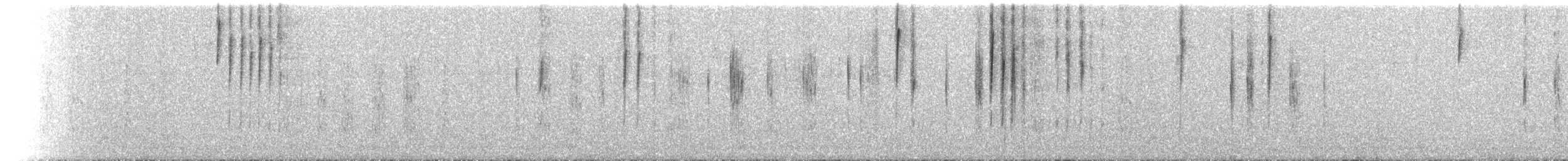 Three-striped Hemispingus - ML77464101
