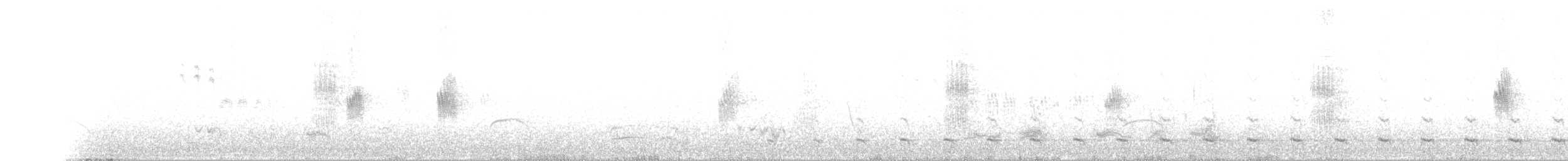 Chevêchette australe - ML77512011