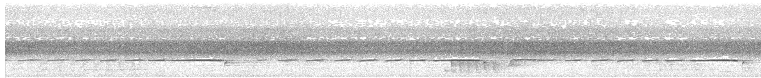 Усатый шипоклюв - ML77616671