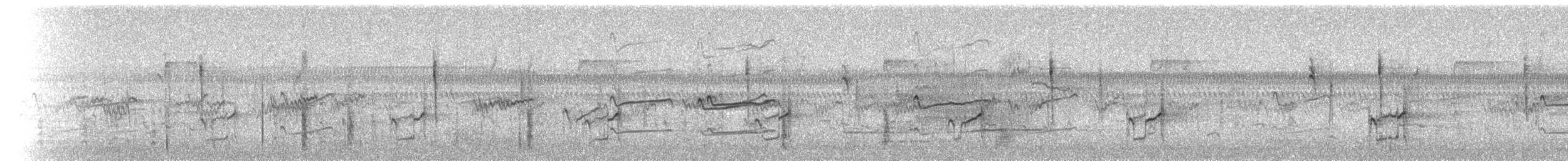 Pluvier semipalmé - ML77617451